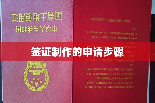 岳池签证制作的申请步骤